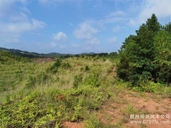 哈密地区带着徒弟上山学杨公风水现场操作